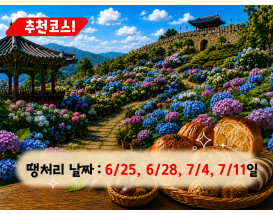 [C-174B] 공주 유구 색동정원 수국축제+공산성&밤마을베이커리+공주산성시장