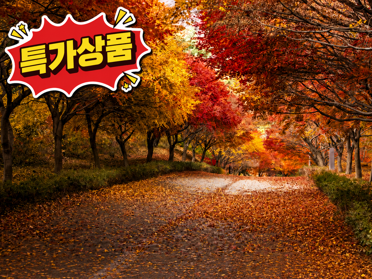 [C-180C] 특가상품! 천안 단풍나무숲길+핀스커피핑크뮬리+각원사단풍