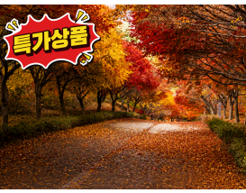 [C-180C] 특가상품! 천안 단풍나무숲길+핀스커피핑크뮬리+각원사단풍
