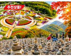 [C-185C] 인제 가을꽃축제+ 인제백담사