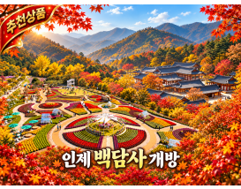[C-185C] 인제 가을꽃축제(축제기간9/24~10/11) + 인제백담사 개방