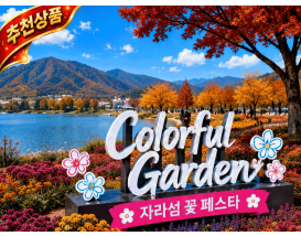 [C-186A] 자라섬 꽃 축제+춘천 삼악산 케이블카 단풍+골든트리 카페