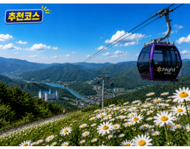 [C-187B] 추천코스 정선 하이원리조트 샤스타데이지 군락&케이블카+백두대간 생태수목원