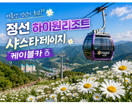 [C-187B] 추천코스 정선 하이원리조트 샤스타데이지 군락&케이블카+백두대간 생태수목원