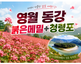 [C-187C] 영월 동강 붉은메밀+청령포