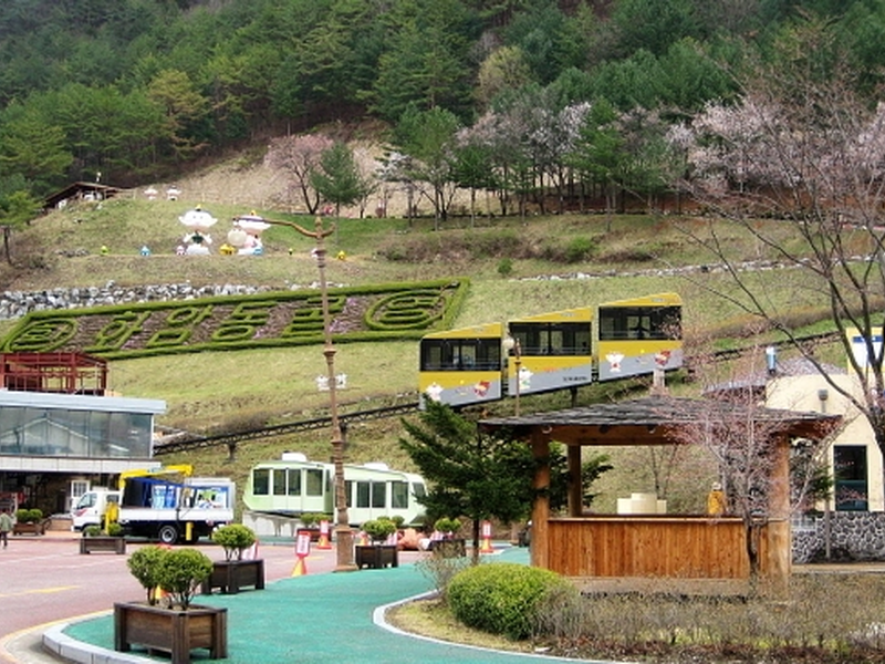 [C-187D] 차 타고 오르는 정선 함백산 만항재 설경