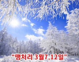 [C-187D] 차 타고 오르는 정선 함백산 만항재 설경