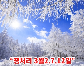 [C-187D] 차 타고 오르는 정선 함백산 만항재 설경