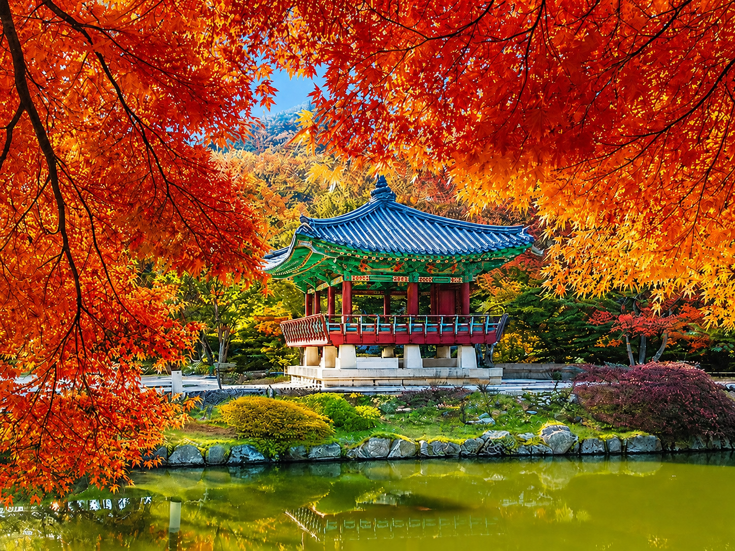 [C-18C] 단풍 명소 내장산 국립공원 단풍관광