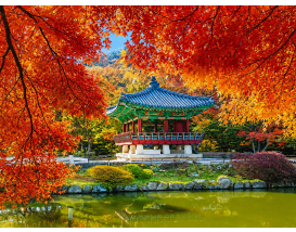 [C-18C] 단풍 명소 내장산 국립공원 단풍관광