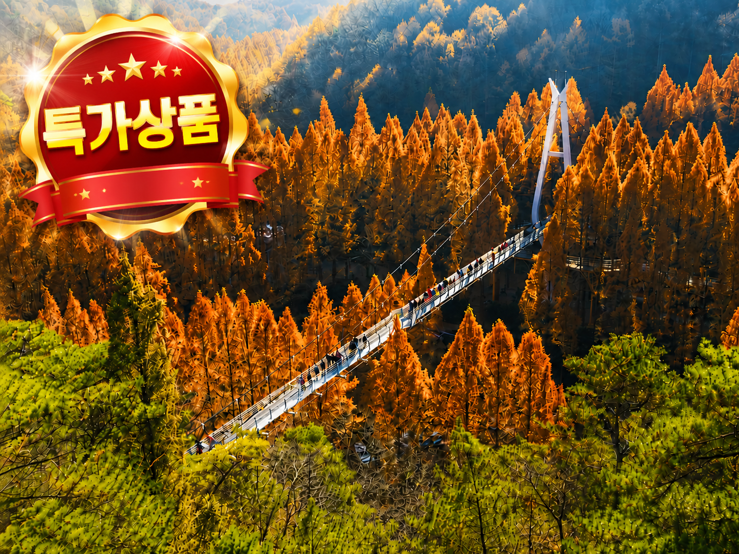 [C-190B] 특가상품! 대전 장태산단풍(한국의 최고 메타세쿼이아 숲)+상소동단풍(이국적인매력)