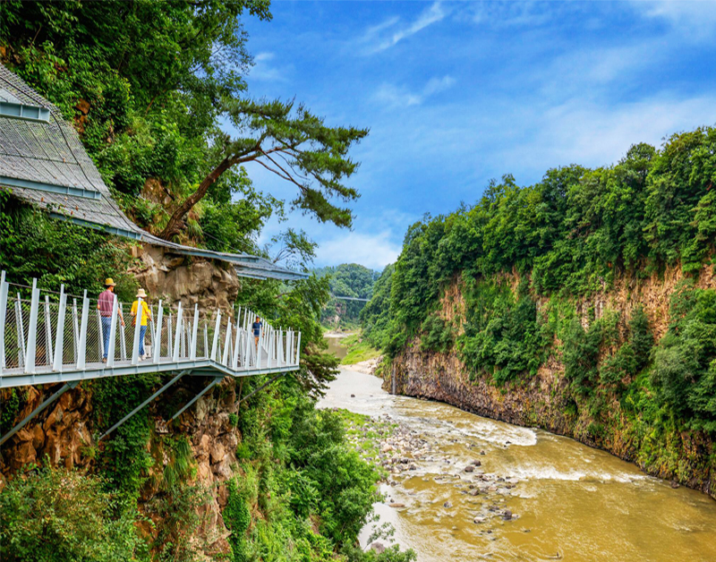 [C-193A] 고석정꽃밭+한탄강 잔도길