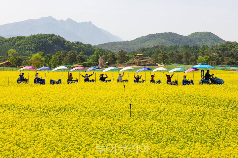 [C-193A] 고석정꽃밭+한탄강 잔도길