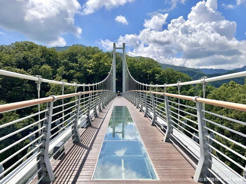 [C-193A] 고석정꽃밭+한탄강 잔도길