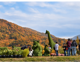 [C-193A] 한탄강 가든페스타+한탄강 잔도길