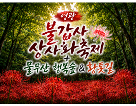 [C-19C] 영광 불갑사 상사화축제+물무산 행복숲&황톳길
