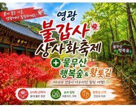 [C-19C] 영광 불갑사 상사화축제+물무산 행복숲&황톳길