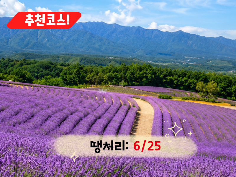 [C-208] 추천코스 고성 하늬 라벤더팜+통일전망타워+금강산 화암사