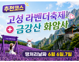 [C-208]추천코스 고성 하늬 라벤더팜+통일전망타워+금강산 화암사
