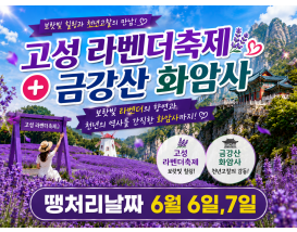 [C-208] 고성 하늬 라벤더팜+통일전망타워+금강산 화암사