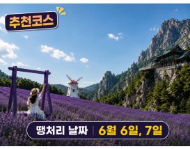 [C-208]추천코스 고성 하늬 라벤더팜+통일전망타워+금강산 화암사