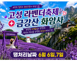 [C-208] 고성 하늬 라벤더팜+통일전망타워+금강산 화암사