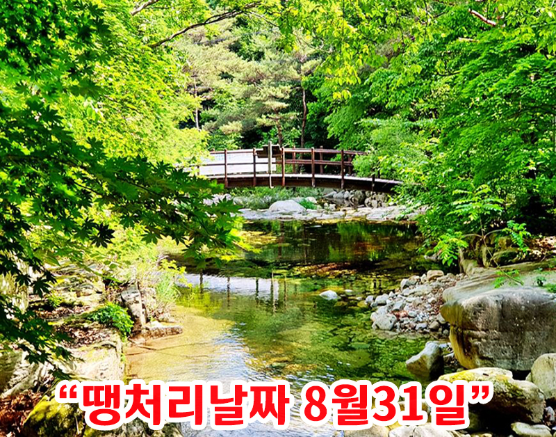 [C-211] 여름휴가 충주호 유람선+충주 수주팔봉(빈센조,펜트하우스 촬영지)+충주 만수계곡&생태탐방로