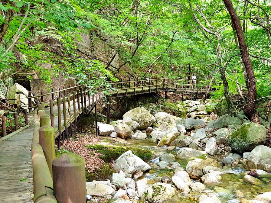 [C-211] 여름휴가 충주호 유람선+충주 수주팔봉(빈센조,펜트하우스 촬영지)+충주 만수계곡&생태탐방로