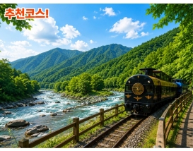 [C-212B] 추천코스 정선아리랑열차 재오픈+시원한 저녁에오는 코스!여름에도시원한 항골계곡길+정선5일장+나전역카페