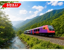 [C-212B] 추천코스 정선아리랑열차 재오픈+시원한 저녁에오는 코스!여름에도시원한 항골계곡길+정선5일장+나전역카페