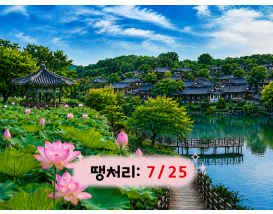 [C-213] 전주 덕진공원 연꽃+전주한옥마을+기지제 수변공원 야경