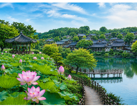 [C-213] 전주 덕진공원 연꽃+전주한옥마을+기지제 수변공원 야경