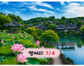 [C-213] 전주 덕진공원 연꽃+전주한옥마을+기지제 수변공원 야경
