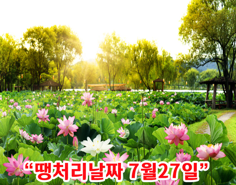 [C-214] 부여 궁남지 연꽃축제+개화예술공원+성주산 자연휴양림