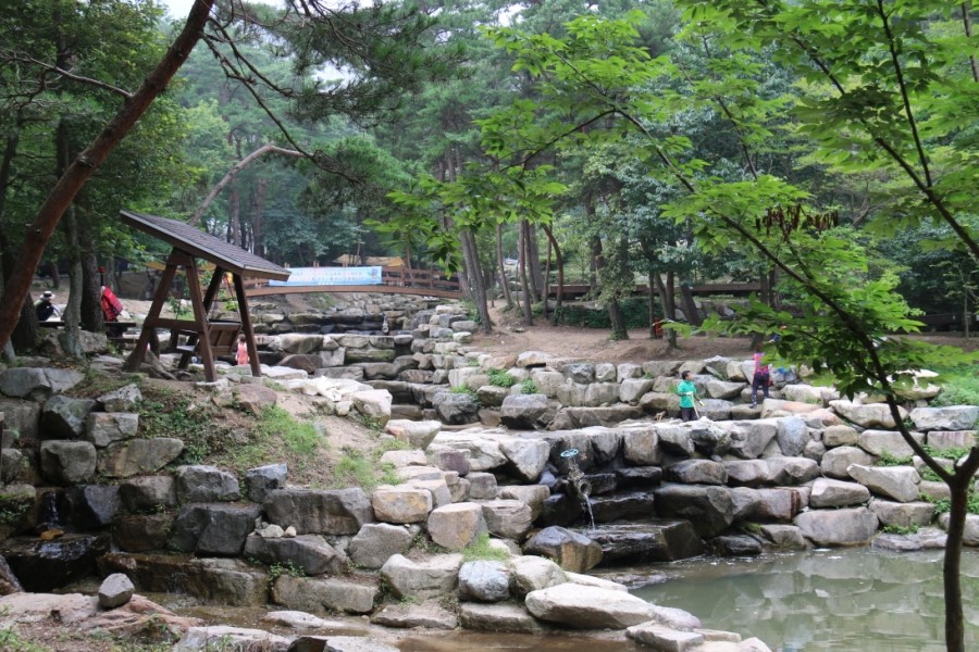 [C-214] 부여 궁남지 연꽃축제+만수산 자연휴양림