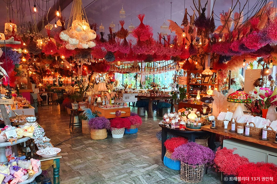 [C-214] 부여 궁남지 연꽃축제+개화예술공원+성주산 자연휴양림