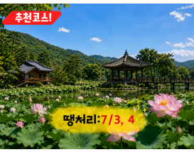 [C-214] 부여 궁남지 연꽃축제+만수산 자연휴양림