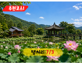[C-214] 부여 궁남지 연꽃축제+만수산 자연휴양림