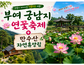 [C-214] 부여 궁남지 연꽃축제+만수산 자연휴양림