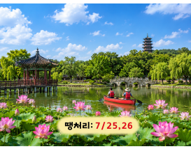 [C-214] 부여 궁남지 연꽃축제+만수산 자연휴양림