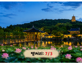 [C-214] 부여 궁남지 연꽃축제+만수산 자연휴양림