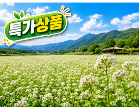 [C-215] 청주 추정리 메밀밭+미동산수목원+상당산성