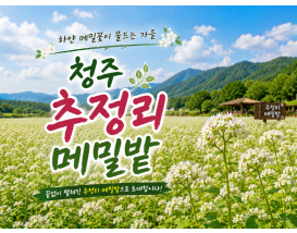[C-215] 청주 추정리 메밀밭+미동산수목원+상당산성