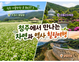 [C-215] 청주 추정리 메밀밭+미동산수목원+상당산성