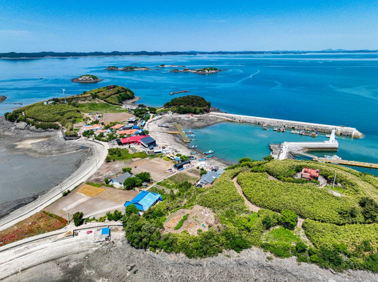 [C-216A] 보령 무궁화수목원 배꽃&조팝축제+홍성 죽도