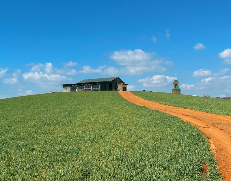 [C-216B] 보령 청보리여행+성주산자연휴양림 편백숲+제육돌솥쌈밥 특식