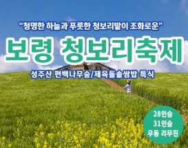 [C-216B] 보령 청보리여행+성주산자연휴양림 편백숲+제육돌솥쌈밥 특식
