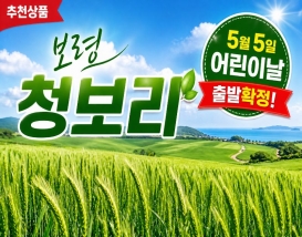 [C-216B] 보령 청보리여행+성주산자연휴양림 편백숲+제육돌솥쌈밥 특식