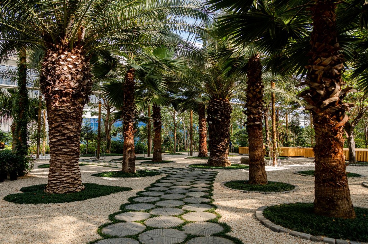 [C-217D] 설경여행 대둔산 케이블카+익산 왕궁포레스트