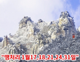 [C-217D] 설경여행 대둔산 케이블카+익산 왕궁포레스트
